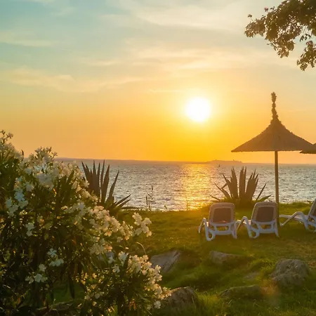 キャンプ場 Trasimeno Glamping